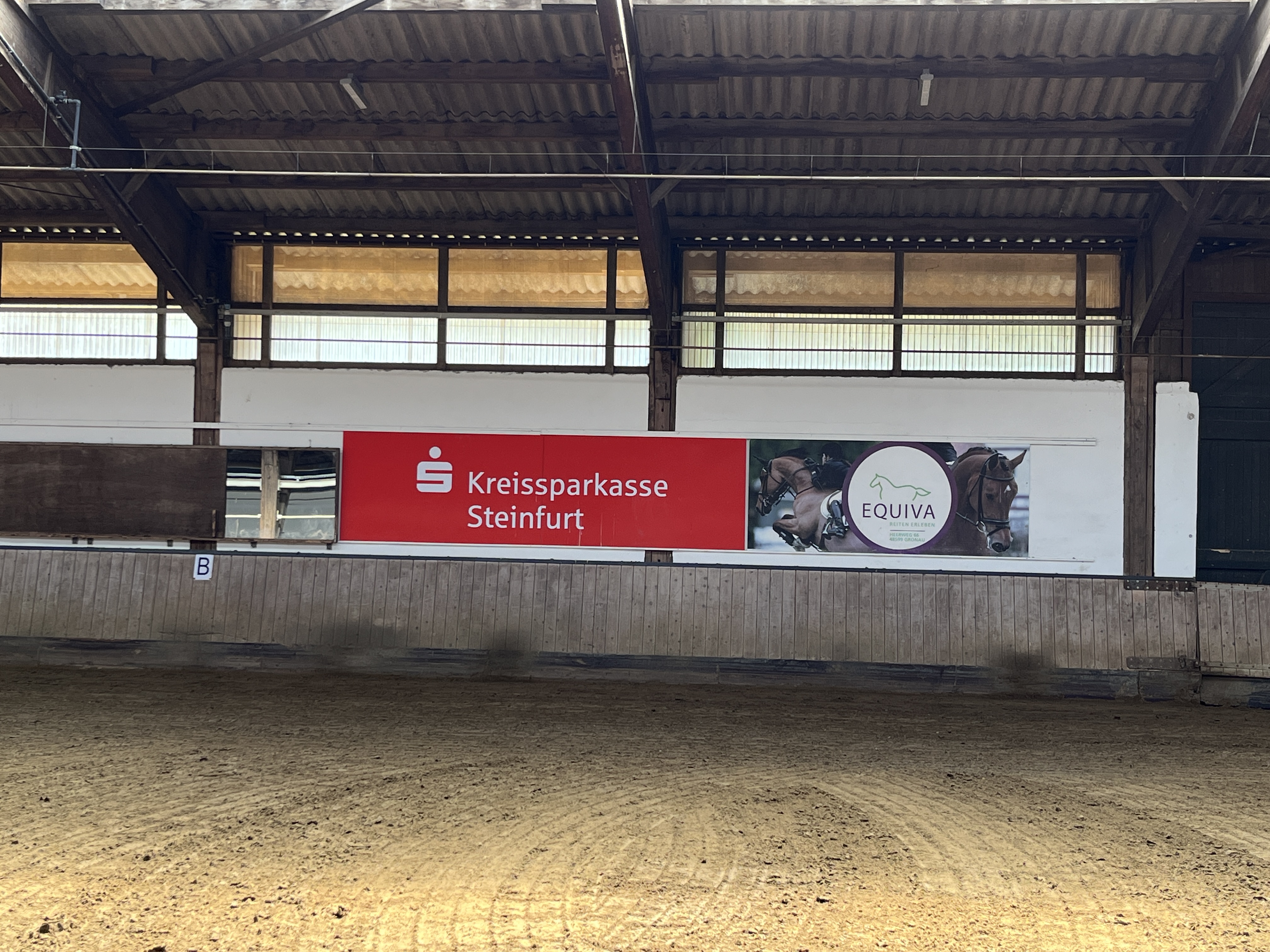 Werbung, Tier, Pferd, Säugetier