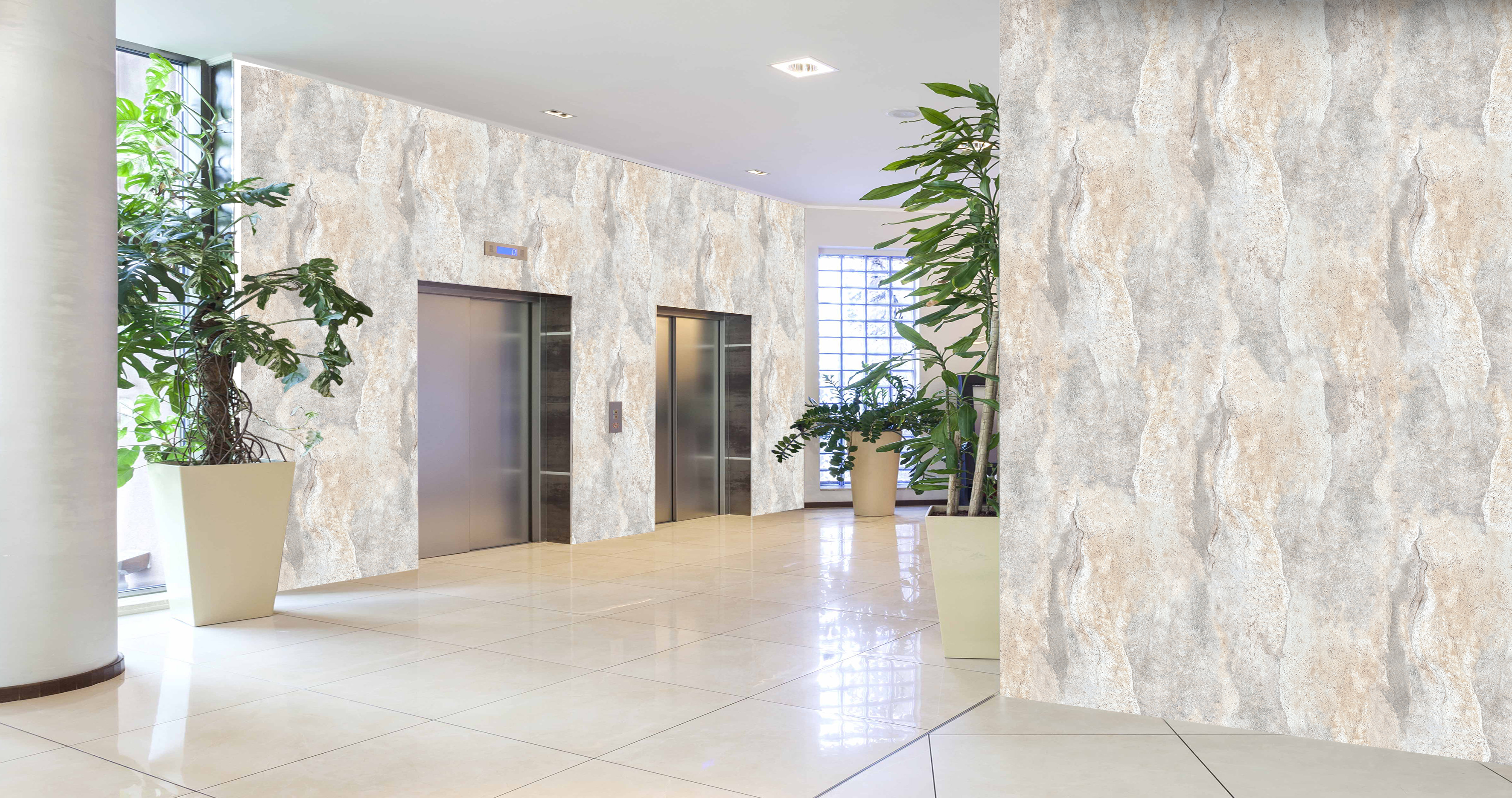 Fußboden, Drinnen, Innenarchitektur, Bodenbeläge, Pflanze